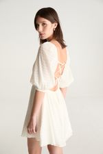 ZP355310_AA_1