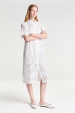 ZP355210_AA_2